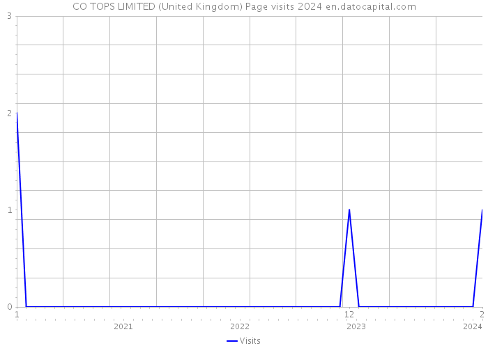 CO TOPS LIMITED (United Kingdom) Page visits 2024 