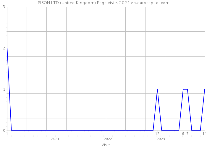 PISON LTD (United Kingdom) Page visits 2024 