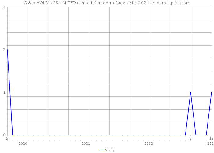 G & A HOLDINGS LIMITED (United Kingdom) Page visits 2024 