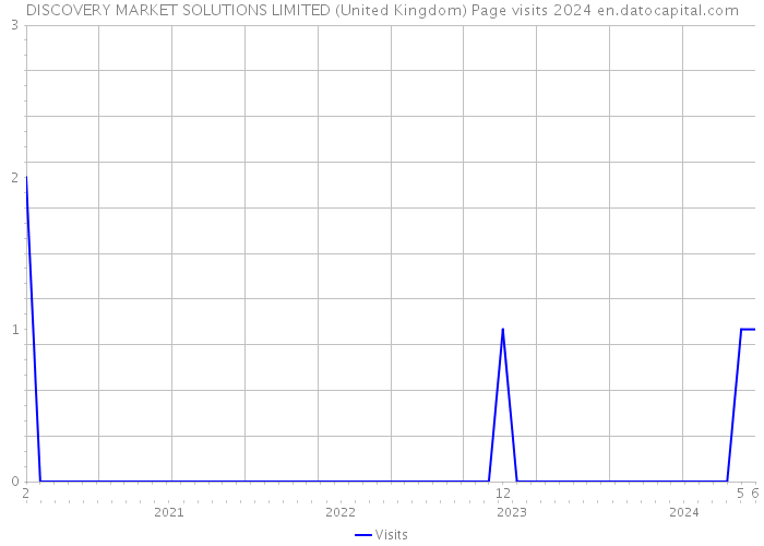DISCOVERY MARKET SOLUTIONS LIMITED (United Kingdom) Page visits 2024 