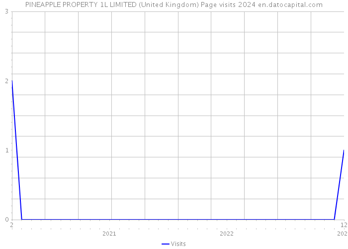 PINEAPPLE PROPERTY 1L LIMITED (United Kingdom) Page visits 2024 