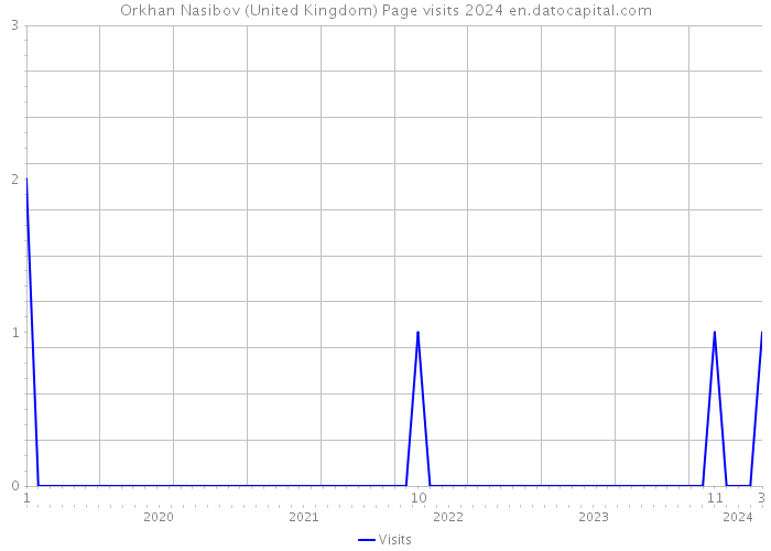 Orkhan Nasibov (United Kingdom) Page visits 2024 