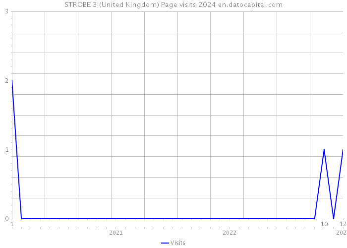 STROBE 3 (United Kingdom) Page visits 2024 