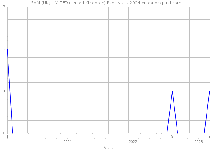 SAM (UK) LIMITED (United Kingdom) Page visits 2024 