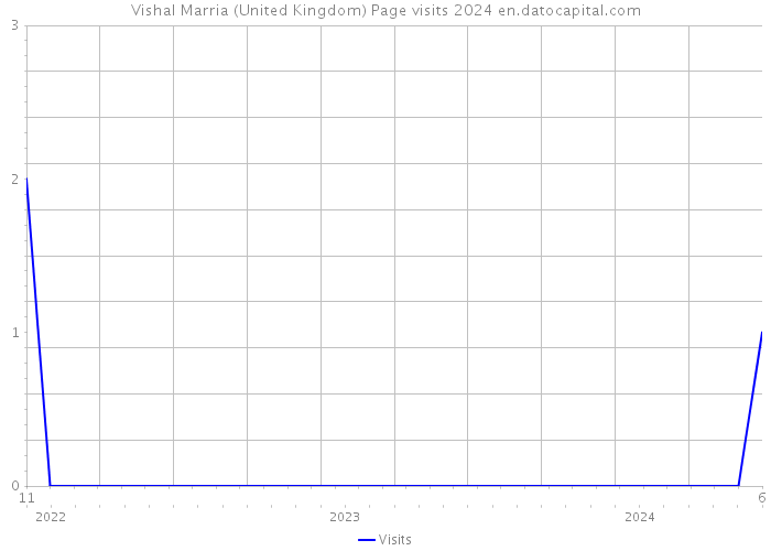 Vishal Marria (United Kingdom) Page visits 2024 