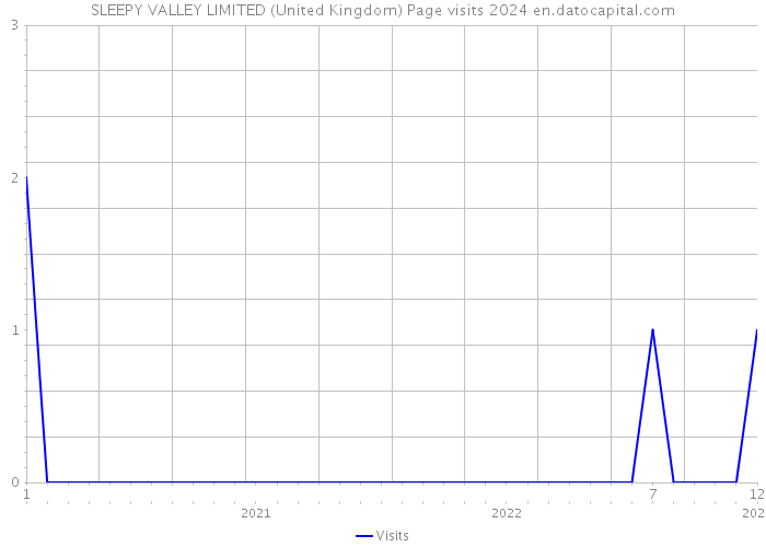 SLEEPY VALLEY LIMITED (United Kingdom) Page visits 2024 