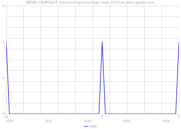BESER CANPOLAT (United Kingdom) Page visits 2024 