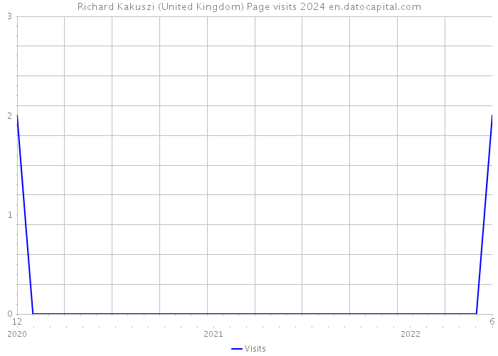 Richard Kakuszi (United Kingdom) Page visits 2024 