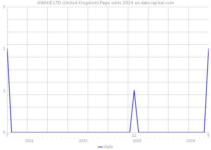 AWAKE LTD (United Kingdom) Page visits 2024 