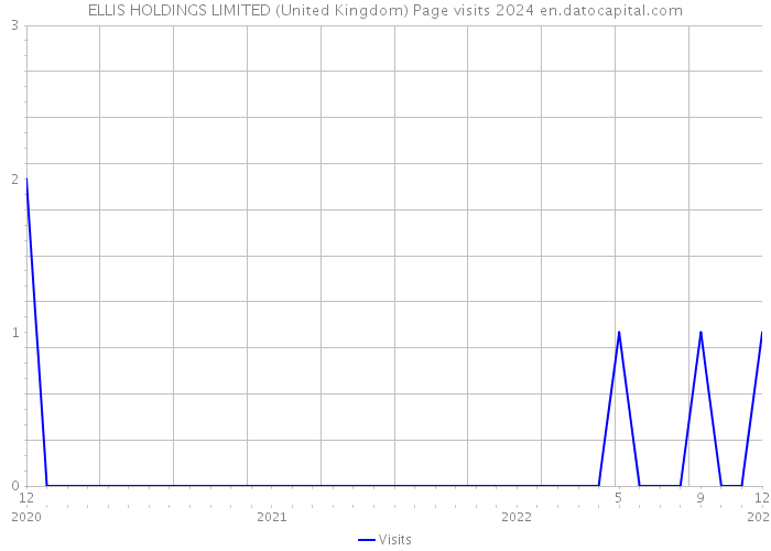 ELLIS HOLDINGS LIMITED (United Kingdom) Page visits 2024 