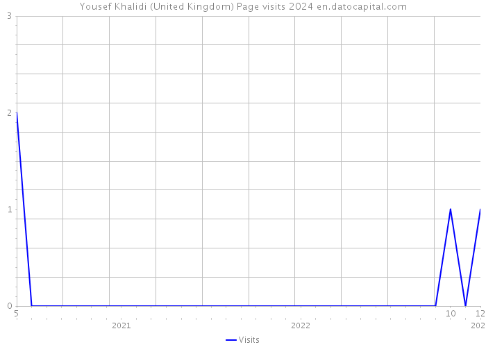 Yousef Khalidi (United Kingdom) Page visits 2024 