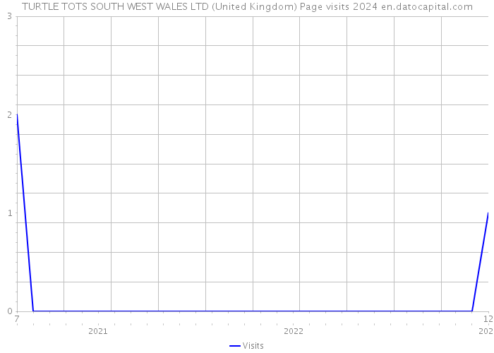 TURTLE TOTS SOUTH WEST WALES LTD (United Kingdom) Page visits 2024 