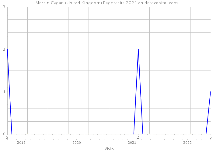 Marcin Cygan (United Kingdom) Page visits 2024 