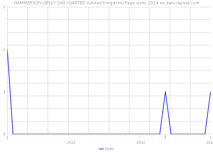 HAMMERSON (SELLY OAK) LIMITED (United Kingdom) Page visits 2024 
