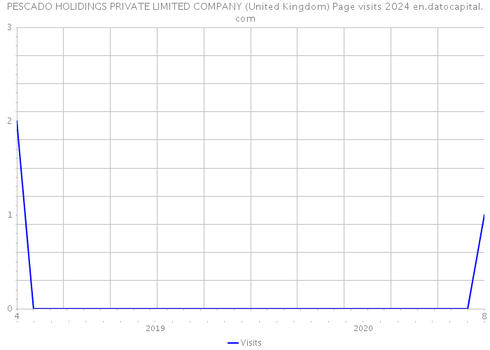 PESCADO HOLIDINGS PRIVATE LIMITED COMPANY (United Kingdom) Page visits 2024 
