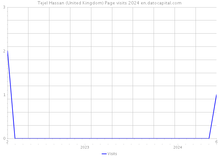 Tejel Hassan (United Kingdom) Page visits 2024 