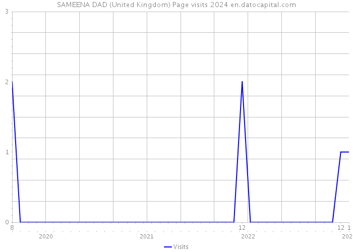 SAMEENA DAD (United Kingdom) Page visits 2024 