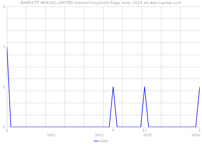 BARRATT WOKING LIMITED (United Kingdom) Page visits 2024 