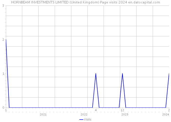 HORNBEAM INVESTMENTS LIMITED (United Kingdom) Page visits 2024 