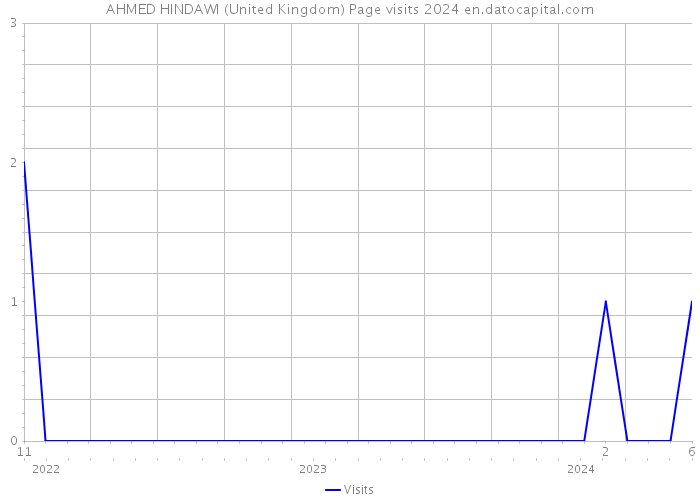 AHMED HINDAWI (United Kingdom) Page visits 2024 