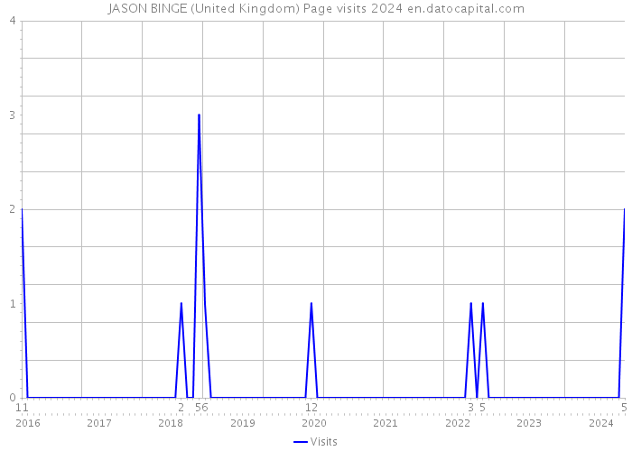 JASON BINGE (United Kingdom) Page visits 2024 