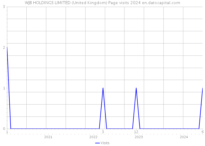 WJB HOLDINGS LIMITED (United Kingdom) Page visits 2024 