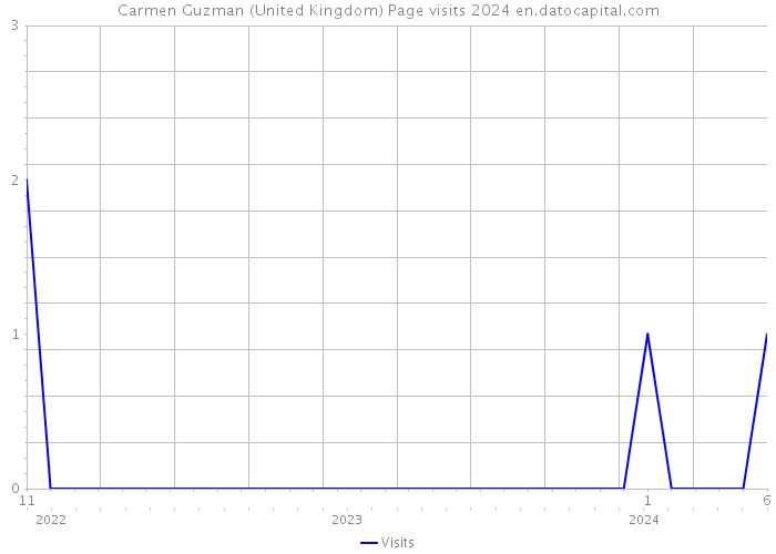 Carmen Guzman (United Kingdom) Page visits 2024 