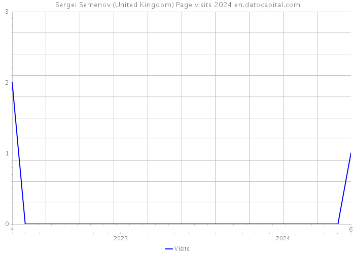 Sergei Semenov (United Kingdom) Page visits 2024 