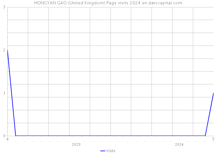 HONGYAN GAO (United Kingdom) Page visits 2024 