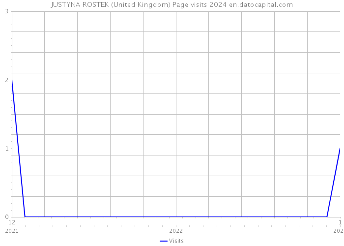 JUSTYNA ROSTEK (United Kingdom) Page visits 2024 