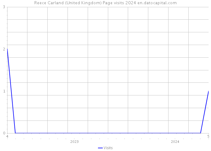 Reece Carland (United Kingdom) Page visits 2024 