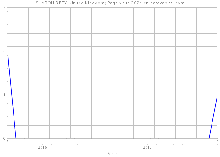 SHARON BIBEY (United Kingdom) Page visits 2024 