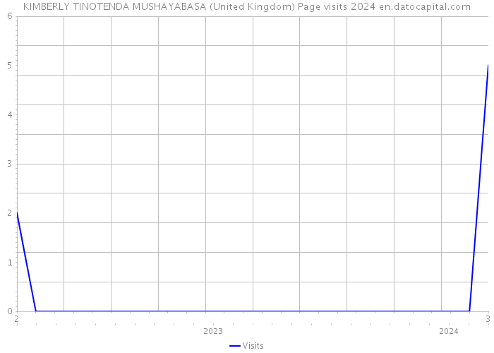 KIMBERLY TINOTENDA MUSHAYABASA (United Kingdom) Page visits 2024 