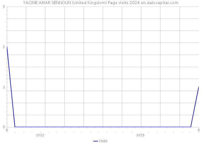 YACINE AMAR SENNOUN (United Kingdom) Page visits 2024 