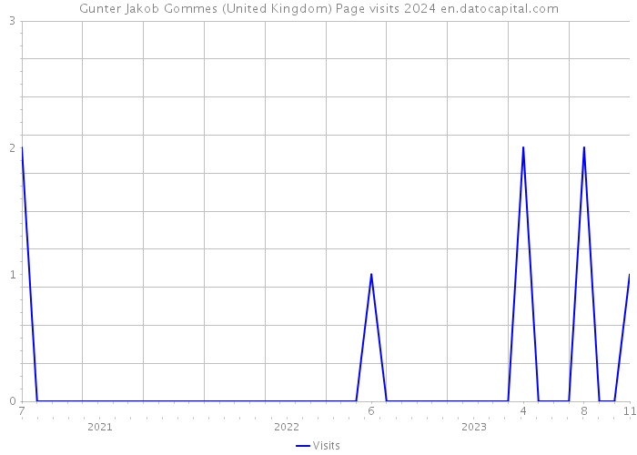 Gunter Jakob Gommes (United Kingdom) Page visits 2024 
