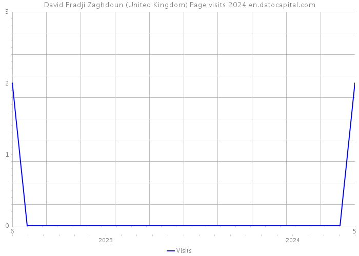 David Fradji Zaghdoun (United Kingdom) Page visits 2024 