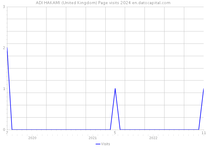 ADI HAKAMI (United Kingdom) Page visits 2024 