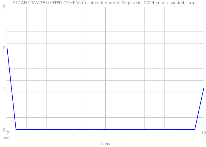 BROWN PRIVATE LIMITED COMPANY (United Kingdom) Page visits 2024 