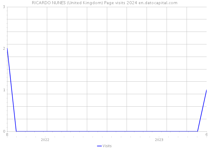 RICARDO NUNES (United Kingdom) Page visits 2024 