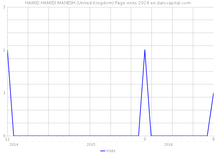 HAMID HAMIDI MANESH (United Kingdom) Page visits 2024 