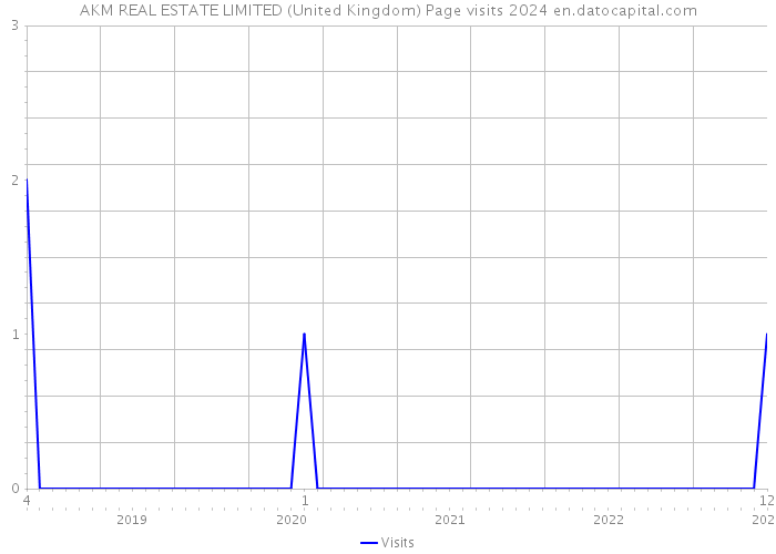 AKM REAL ESTATE LIMITED (United Kingdom) Page visits 2024 