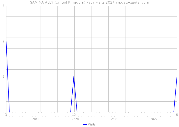 SAMINA ALLY (United Kingdom) Page visits 2024 
