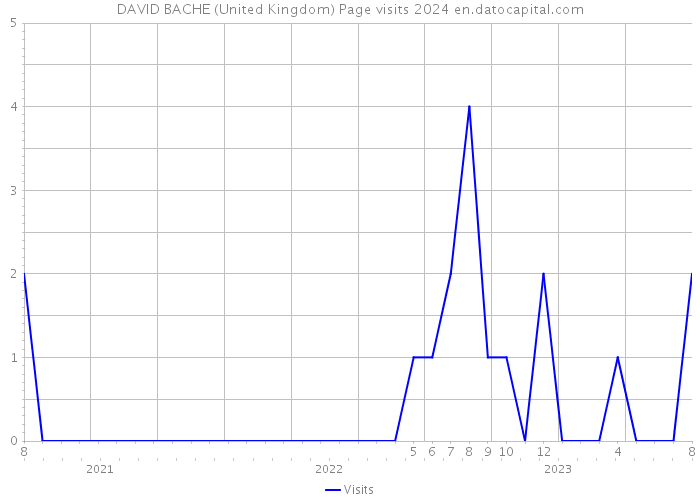 DAVID BACHE (United Kingdom) Page visits 2024 