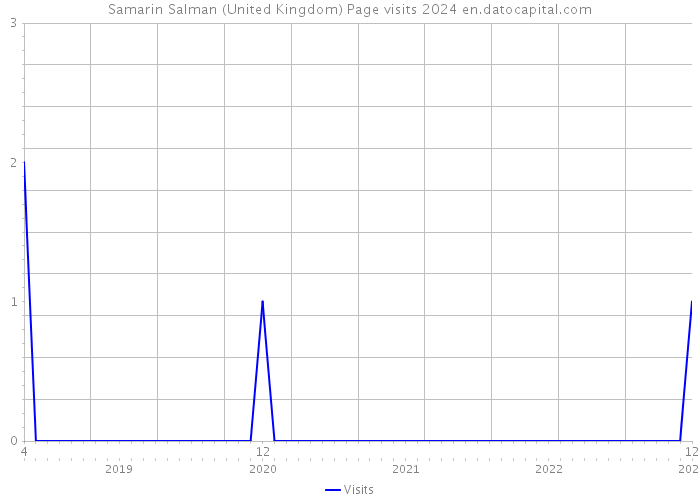 Samarin Salman (United Kingdom) Page visits 2024 