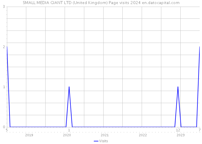 SMALL MEDIA GIANT LTD (United Kingdom) Page visits 2024 