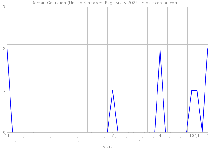 Roman Galustian (United Kingdom) Page visits 2024 