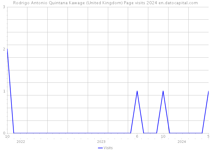 Rodrigo Antonio Quintana Kawage (United Kingdom) Page visits 2024 