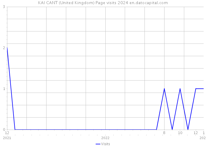 KAI CANT (United Kingdom) Page visits 2024 