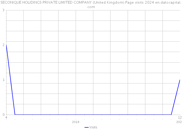 SECONIQUE HOLIDINGS PRIVATE LIMITED COMPANY (United Kingdom) Page visits 2024 