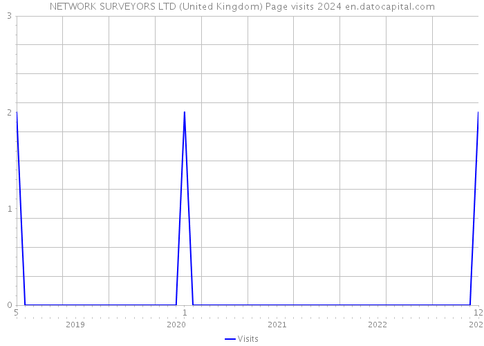 NETWORK SURVEYORS LTD (United Kingdom) Page visits 2024 